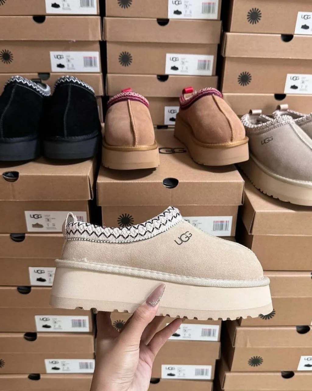 Palettes de liquidation UGG